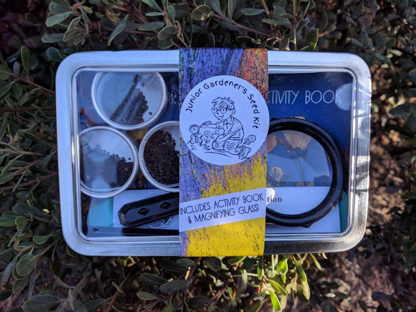 Vintage seed collection